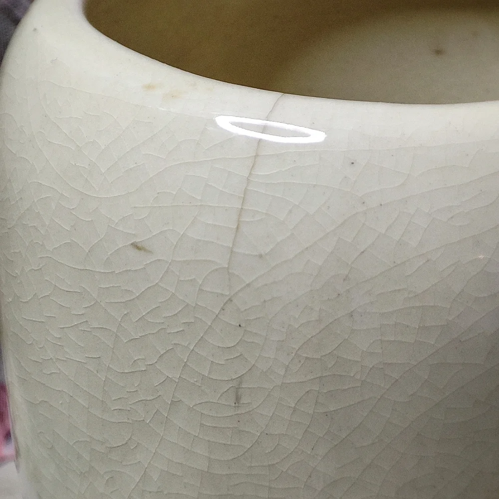 Royal Copley Green Cream Climbing Ivy Vase 7